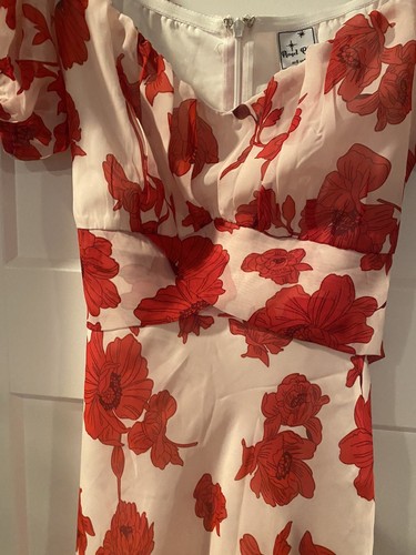 Angel Biba Dress Red Floral Lined Dress Small NWT - Picture 3 of 12