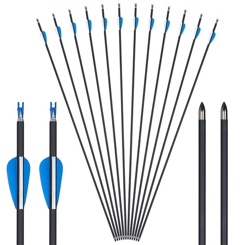 Archery 31" Carbon Arrows Spine 800 Target Hunting Compound Recurve Bow Tips - Picture 1 of 21