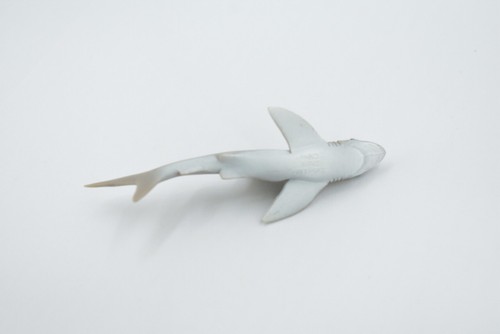 Galapagos Islands Shark, Grey, Realistic Toy, Figure, Model, Gift 3.5" F1531B150 - Picture 7 of 8