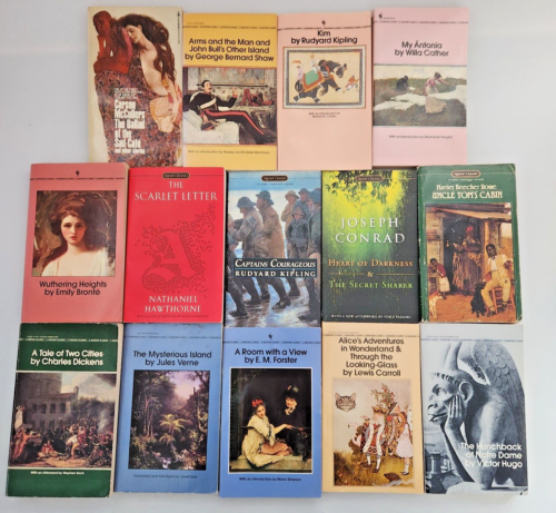 Lot of 14 Paperback Classics Bantam Signet Dickens Hawthorne Kipling Bronte More - Foto 2 di 6