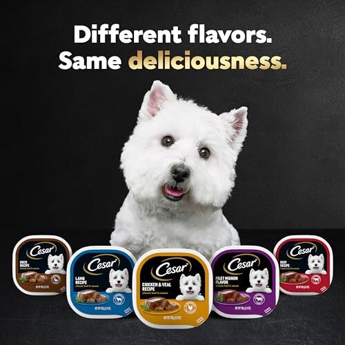 CESAR Smoked Bacon and Egg Wet Dog Food 24 Trays Grain Free Gourmet Meals - Picture 8 of 8