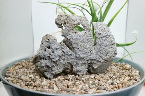 Viewing stone suiseki-scholar rock Ying stone Rough Decor Rockery bonsai J262 - Picture 4 of 7