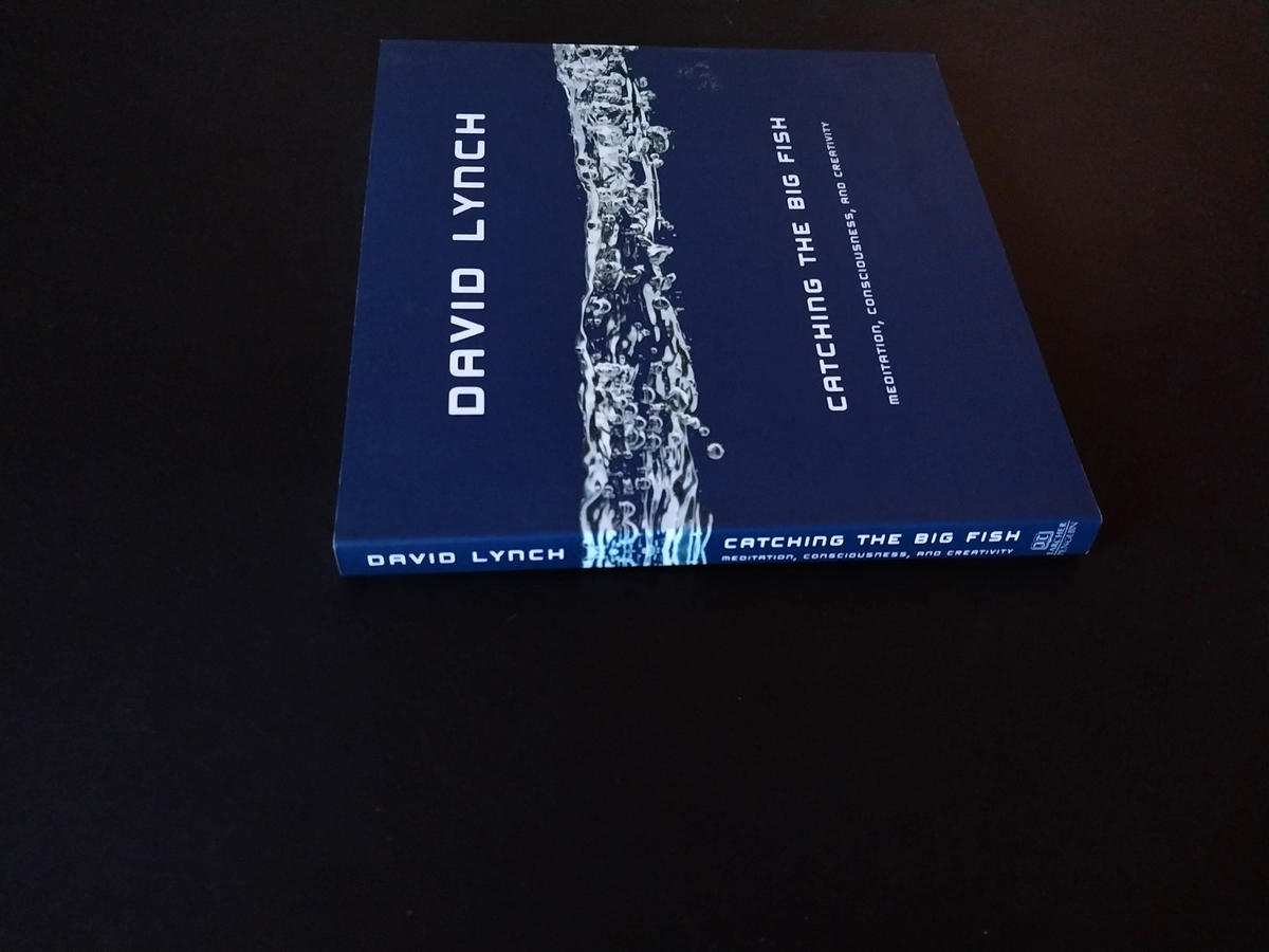 david lynch blue box big fish Catching the Fish: Meditation, Consciousness, and Creativity: 10th Anniversary Edition: Books filmmaker David Lynch describes his personal methods of capturing and working with ideas David Lynch: Catching the Big