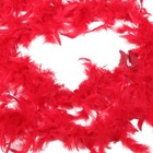 Bild 2 von 12