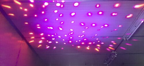 ADJ Startec StingerII - 3 in 1 light -moonflower & UV work no laser (151) - Picture 17 of 20