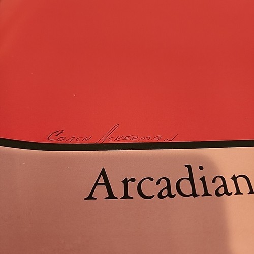 ANNUARIO 1965 Arcadian Arcadia High School Vol14 Arcadia California STEVIE NICKS - Foto 11 di 11