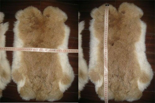 1 X Rabbit Skin Fur Pelt Hide Leather Natural Genuine Animal Training Craft Dyed - Picture 24 of 29