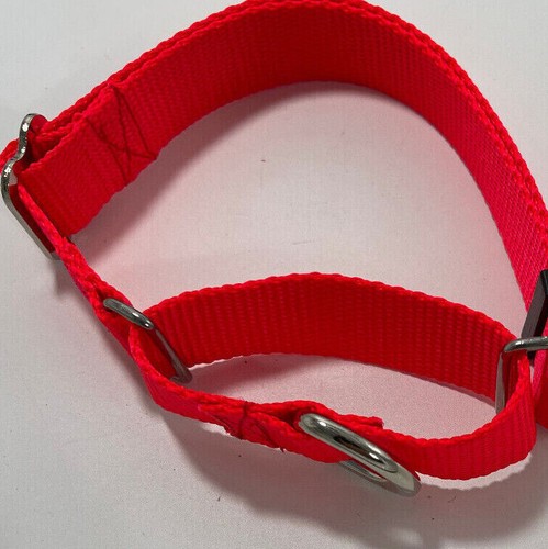 Carter Pet Supply Martingale Dog Collar METAL BUCKLES Greyhound Training Collar - Picture 9 of 11