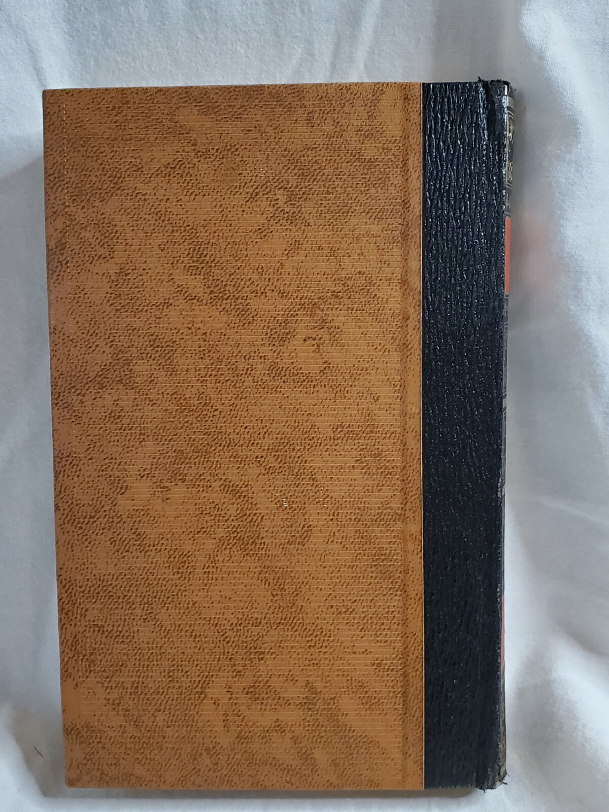 Picture 3 of 6