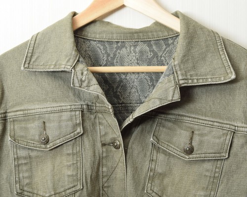 Vintage DG2 Diane Gilman Jacket XL, Reversible Stretch Denim, Green Snake Nice - Picture 1 of 10