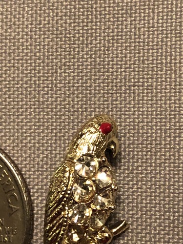 Vintage Designer Little Nemo Parrot Rhinestone Scatter Pin Brooch C Clasp - Picture 3 of 5
