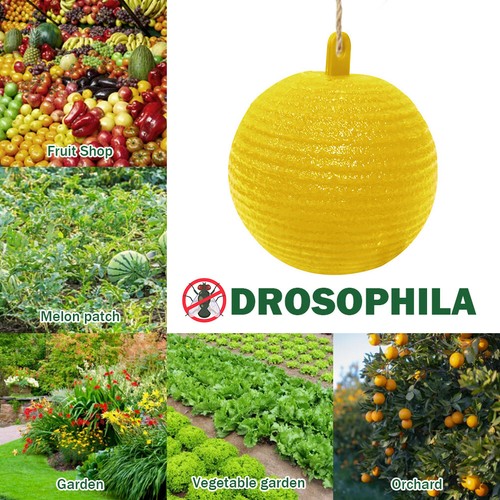 Yellow Sticky Fly Trap Insect Catcher Traps Hanging Ball Fruit Flies Killer 8cm - Bild 3 von 6