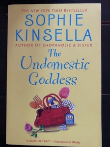 the domestic goddess sophie kinsella the domestic goddess sophie kinsella