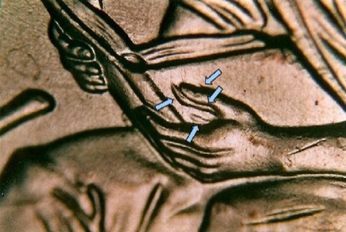 2009 FY WDDR-043 GEM BU Red Lincoln Cent Doubled Die Reverse