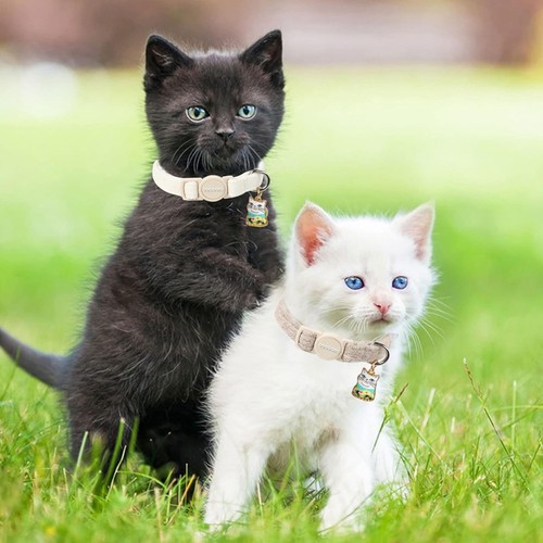 Cat Collar,2 Pack White Hemp Cat Collars Breakaway with Bell, Safety Buckle W... - Picture 5 of 5