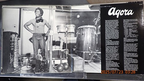 Paulinho da Costa Agora 2310-785 Stereo Promo Pablo Records Vintage '77 Vinyl NM - Picture 5 of 5