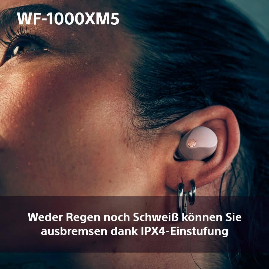 Bild 9 von 13