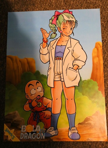 DRAGON BALL 1992 EXTREMELY RARE SET OF FOURTEEN 16"x11" POSTERS FLAT SONRICS - Imagen 1 de 14