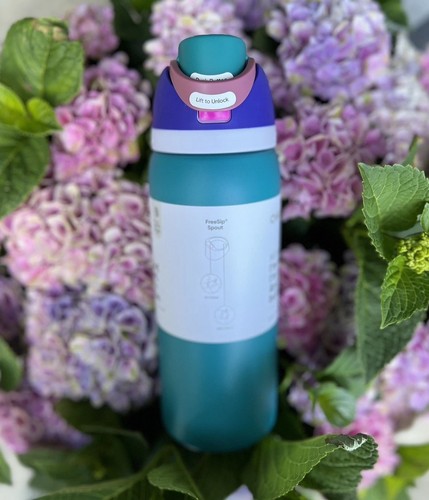 Owala "80's Ski Slopes" NEU 32oz Free Sip Retro Teal Purple Isolierflasche