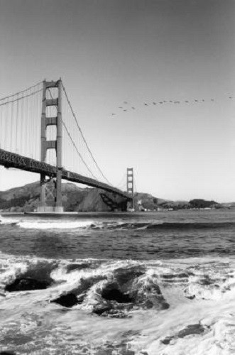 NEW: set of 5 B&W prints of Golden Gate Bridge in San Francisco - Jesse Kalisher - Picture 5 of 10