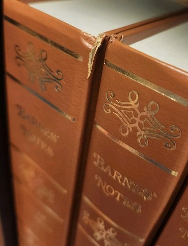 Barnes Notes On The Old & New Testaments Bible - 14 Volume Lot - Baker 2005 - Picture 5 of 5
