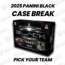 Detroit Lions - 2025 Panini Black Football Case