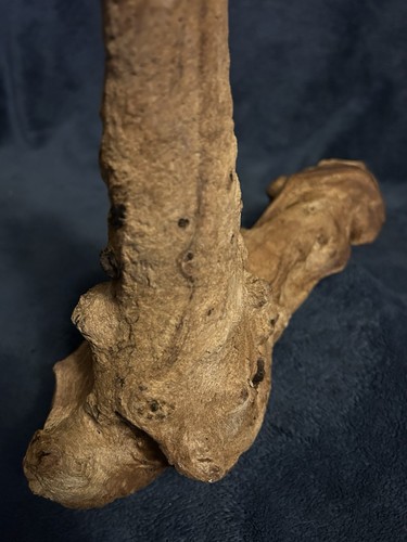 Naturally Sculpted DriftWood One-Of-A-Kind Artifact - Picture 10 of 16