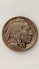 1920-D  United States Buffalo Head Nickel