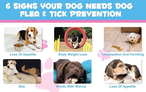 FLEA and TICK Soft Chews Treats for DOG Natural Ingredients Treatment Solution - Picture 7 of 16