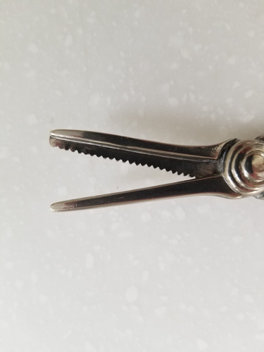 Vintage Silver Plated Ornate Grape Shears Scissors Fox & Grape Design Handle 6" - Picture 4 of 7