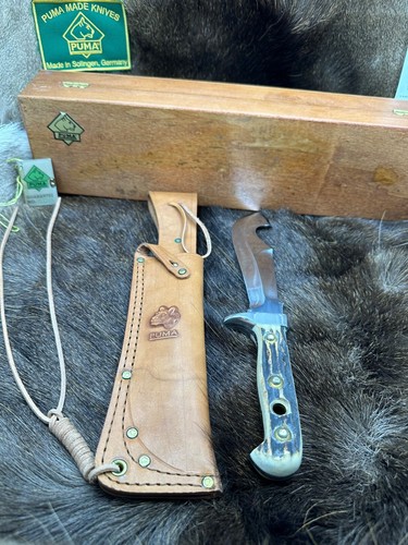 1979 Vintage Puma 16 6374 1st Model Cougar Knife With Stag Handles And Gold Tag - Picture 18 of 24