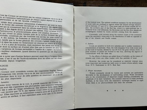 Saudi Arabia: Under-Water Paradise (Editions Delroisse) C Petron J Jaubert - Picture 5 of 12