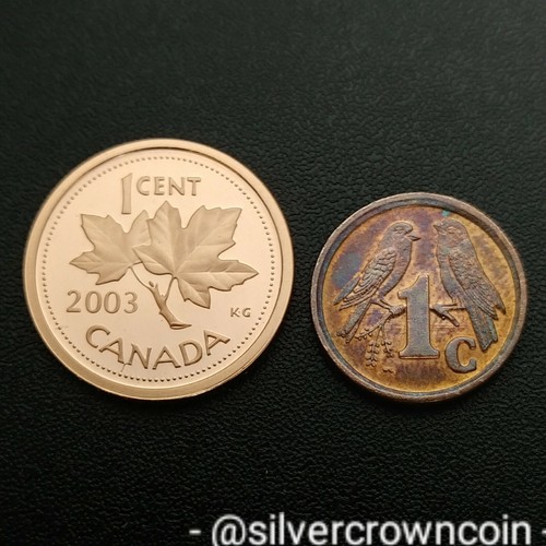 Africa South 1 Cent 1991. KM#132. One Penny coin. Sparrows Bird SOUTH-SUD AFRICA - Picture 3 of 7