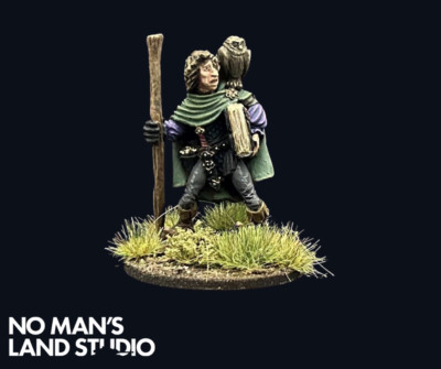 D&D, Junger Magier, Iltheus Mensch - Fantasy Miniatur, KOMMISSION, Pro Painted
