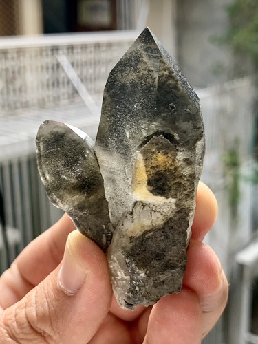 Black rutile quartz Twin terminated Crystal Specimen - Picture 7 of 7