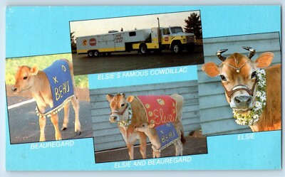 c1960 Postcard Elsie Borden Cow Beauregard Cowdillac Multiview Advertising