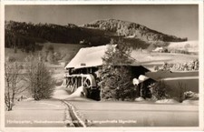 Old postcard Hinterzarten High Black Forest GERMANY (1019162)