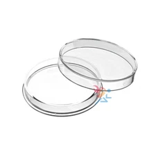 (10) High Relief 39mm Direct Fit for 2oz Queen's Beast & 2oz Biblical Series