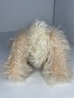 Bild 4 von 8