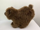 Bild 9 von 12