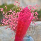 Window tint Film Privacy Decor Glass Sticker VLT17% Home Anti-UV Self-adhesive