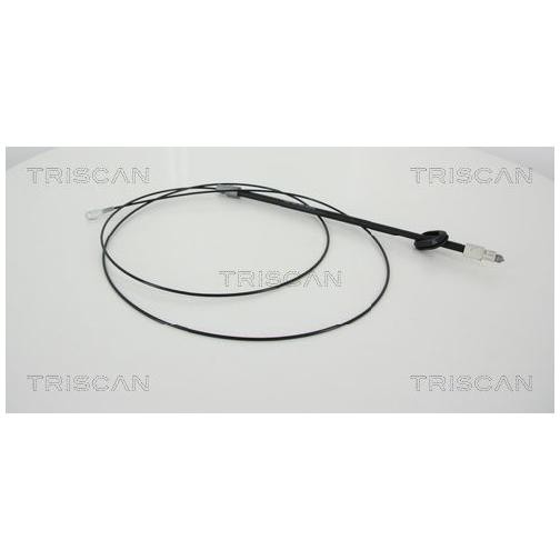 2X Handbremsseil Vorne FüR Mercedes Sprinter B906 06 Bis 19 Triscan OM651955 Neu-image