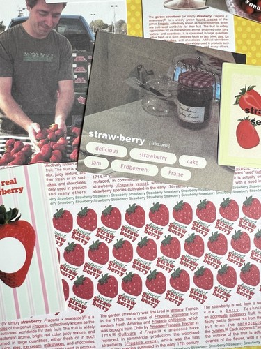 Sticker Set Erdbeeren Scrapbooking Junk Journal Kit Planer Collage - Bild 9 von 12