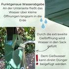 Bild 5 von 7