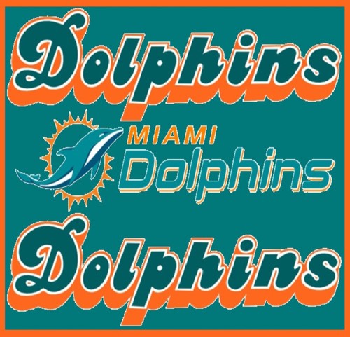 Bicchiere da viaggio Miami Dolphins 20 oz acciaio inox isolato NFL Mar's Creations LLC - Foto 12 di 12
