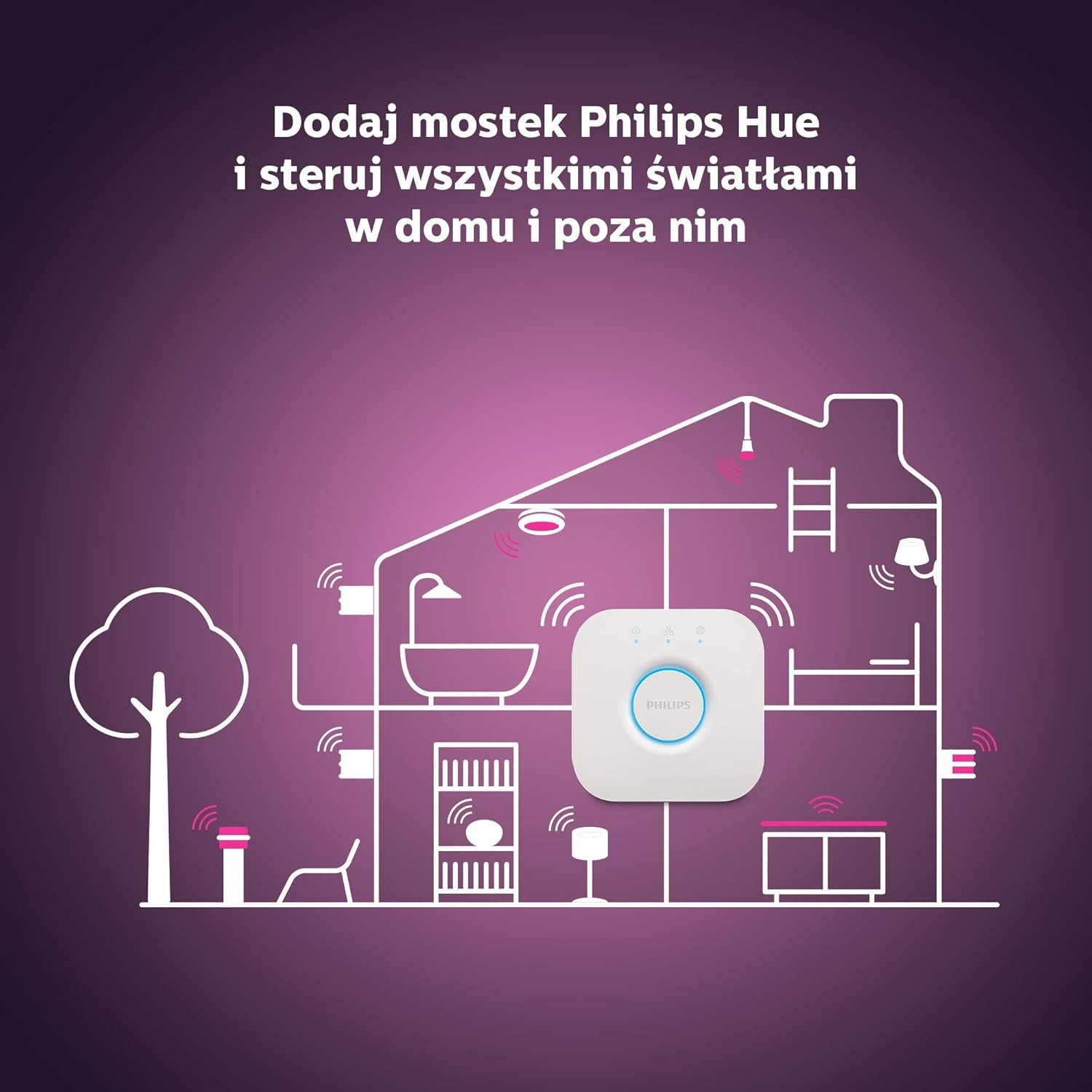 Foto 3 di 4