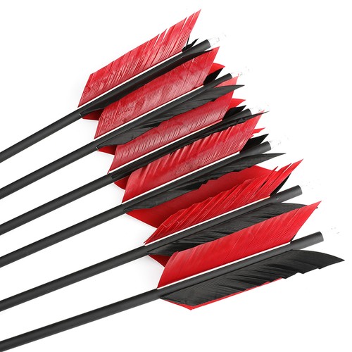6/12/24 X 30'' Archery Carbon Arrow 4pcs Natural Feather Bow Hunting Shooting - Picture 8 of 16