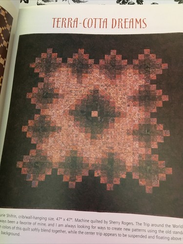 Batiks and Beyond : Quilts from Fabulous Fabrics by Laurie J. Shifrin 2003 - Foto 5 di 7