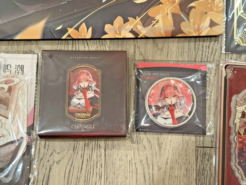 Wuthering Waves 1st Anniversary 2025 Los Angeles Event Merchandise Set+Sunright - 第 10/19 張圖片