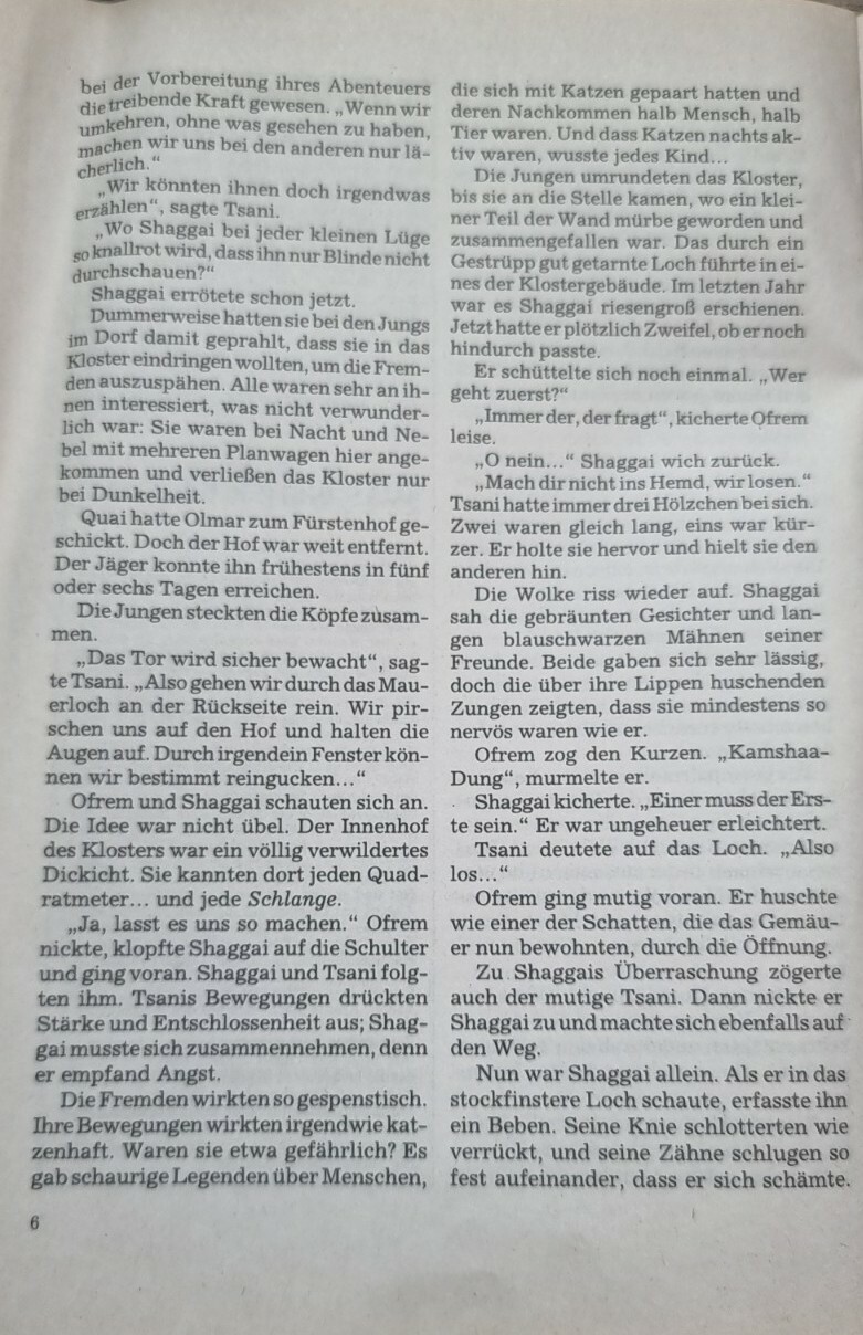 Bild 7 von 12